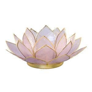 Lilac Lotus