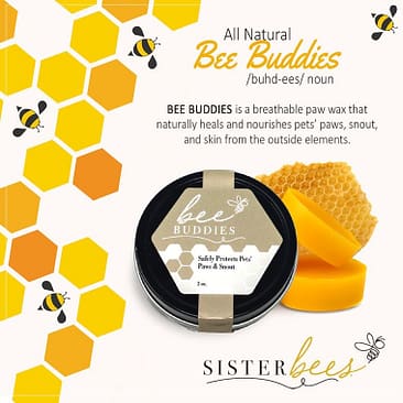 Bee Buddies